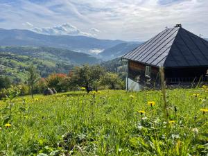 a barn on a hill with a field of flowers at La mosu Rovin in Borta