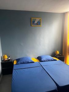 Postel nebo postele na pokoji v ubytování Le Chacha - superbe appartement à 2 minutes de la plage à pied