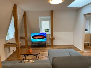 TV a/nebo společenská místnost v ubytování SCHNYDER'S HOME - Rosenappartement + 7 fotografií