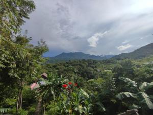 uitzicht op de jungle met bergen op de achtergrond bij Mirador Dentro del Parque Tayrona in El Zaino