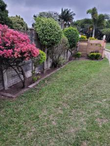 een tuin met roze bloemen en een hek bij Mavundla guest house in Richards Bay