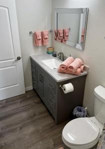 a bathroom with a sink and a toilet and a mirror at Anchorage midtown apartment- Wyoming 1 in Anchorage