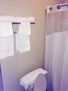 Bilik mandi di Texan Inn and Suites Tilden