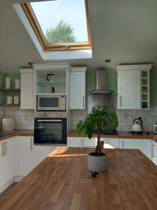 uma cozinha com uma mesa com um vaso de plantas em WAVENEY em Belfast