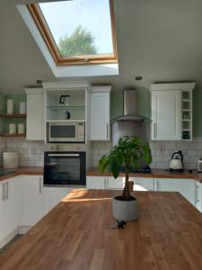 a kitchen with a table with a potted plant on it at WAVENEY in Belfast