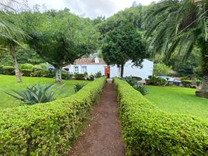 a path through a hedge in a garden at Ribeira do Guilherme - Watermill house Botanic Garden in Nordeste