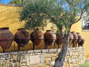 Foto da galeria de Casarão do Largo da Eira em Tomar