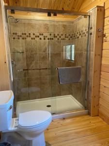 a bathroom with a shower with a toilet and a tub at Lakewood Park Campground - Luxury Cabin in Barnesville