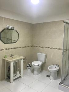 W łazience znajduje się toaleta, umywalka i lustro. w obiekcie Berry Dpart w mieście Ushuaia