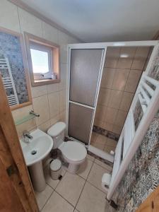 a bathroom with a toilet and a sink and a shower at Hostal Origen Patagonia in Punta Arenas