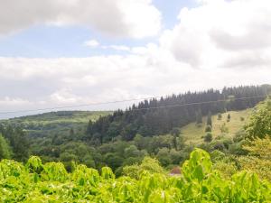 een uitzicht op een heuvel met bomen en een draad bij The Hayloft in Cinderford