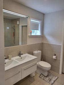 a bathroom with a sink and a toilet and a mirror at The perfect getaway for two in a large suite in Whanganui +7 photos