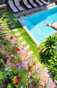 a swimming pool in a yard with plants and flowers at Vincent's House in Hoi An