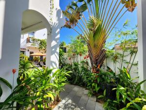 um jardim fora de uma casa com um monte de plantas em Vincent's House em Hoi An