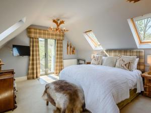 a bedroom with a large bed with a dog laying on the floor at Treetops - Uk38735 in Barlow