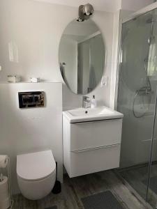 a bathroom with a toilet and a sink and a mirror at Dziewięciu z nieba 9 in Kaliska