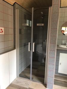 uma casa de banho com uma cabina de duche em vidro e um WC. em Schlafkota vom Friesenhof Wieratal 