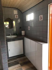 Schlafkota vom Friesenhof Wieratal : حمام صغير مع حوض ومرآة