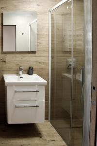 La salle de bains est pourvue d'un lavabo et d'une douche. dans l'établissement Apartmán na Pasekách, à Bystrzyca