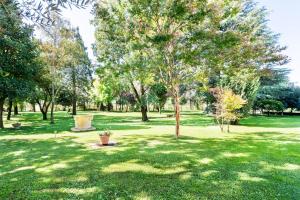 un parc avec un arbre dans l'herbe dans l'établissement Italian Experience-Uriel Suite Apartment, à Corteolona
