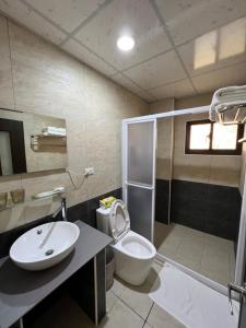 馬公市的住宿－幸福陽光民宿，一间带卫生间和水槽的浴室