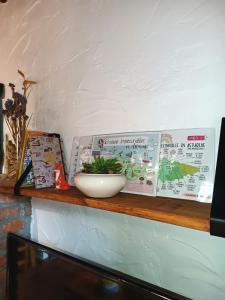a shelf with books and a bowl on it at La Castañar - La Vallicuerra Casas Rurales in Mieres