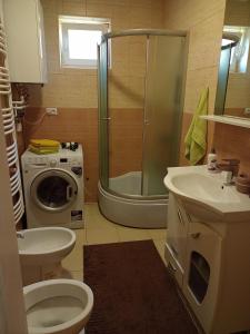 e bagno con doccia, servizi igienici e lavandino. di Apartman Žile a Bačka Palanka