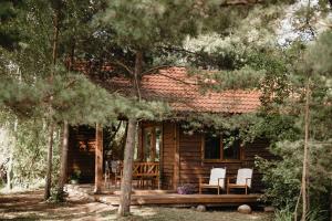 a log cabin in the woods with two chairs at Beržų namelis - Birch cabin in Kučiūnai