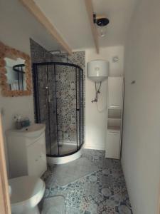 ein Bad mit einer Dusche und einem WC. in der Unterkunft Domek letniskowy na Kaszubach z Balia ogrodowa in Gowidlino