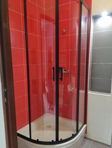 a shower in a red tiled bathroom at Pokoje gościnne na Miłej in Kochlice