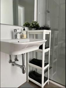 uma casa de banho com um lavatório branco e um espelho. em Apartamentos El Piquillo en Cadalso de los Vidrios em Cadalso de los Vidrios