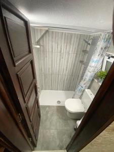 La salle de bains est pourvue de toilettes et d'un rideau de douche. dans l'établissement Estudio T41, à Lisbonne