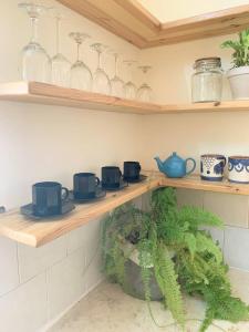 een keuken met planken met potten, pannen en planten bij O&B Hospitality - אירוח אלף בית in Dafna