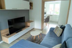 TV a/nebo společenská místnost v ubytování Capital Towers - Apartament Green z widokiem na rzekę