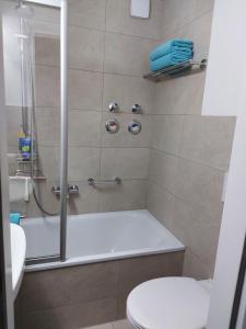 uma casa de banho com um chuveiro, um WC e um lavatório. em Sonniges Appartement am Tegernsee em Gmund am Tegernsee