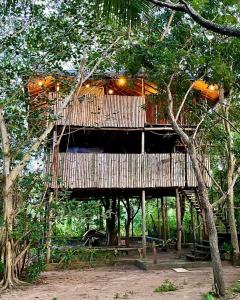 a tree house in the middle of the forest at The Saraii Tree Lodge in Tissamaharama