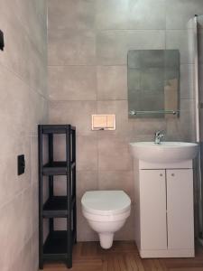 a bathroom with a white toilet and a sink at Domek letniskowy Młyn2 in Karwieńskie Błoto Pierwsze