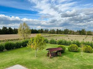 een picknicktafel in het midden van een veld bij Agriturismo Sabidor in Malalbergo