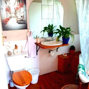 y baño con lavabo, aseo y espejo. en Lavender Cottage, en Ciudad del Cabo