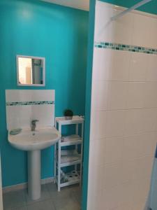 a bathroom with a sink and a shower at Gîte l' Arbre de Vie in Les Essards