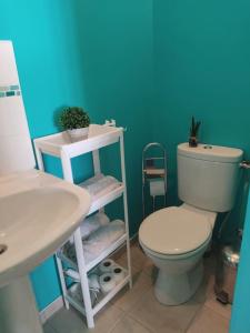 a bathroom with a white toilet and a sink at Gîte l' Arbre de Vie in Les Essards