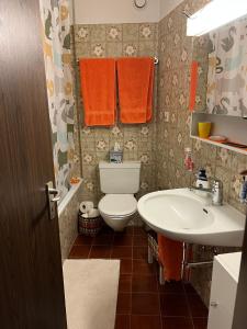 een badkamer met een toilet en een wastafel bij Golfresidenz Apartment Davos in Davos