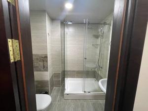 een badkamer met een douche, een toilet en een wastafel bij Marhabo Hotel Palace in Solnechnyy