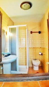 a bathroom with a shower and a sink and a toilet at Entre Dos Aguas in Granada