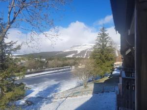 Príroda v okolí apartmánu
