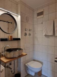 a bathroom with a sink and a toilet and a mirror at Fritzis Alpenidyll „Sommertraum & Winterromantik” in Samerberg