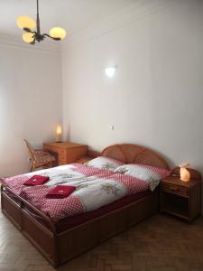 Gallery image of Swiss House Apartments in Slavonice