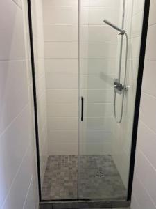 une douche avec une porte vitrée dans une salle de bain dans l'établissement Appartement FACE MER accès direct plage, à Houlgate