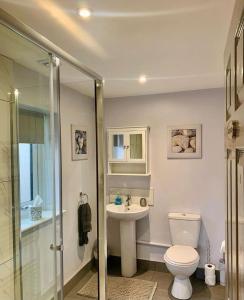 een badkamer met een toilet, een wastafel en een douche bij No1 Guest House in Stamford
