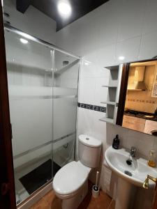 un bagno con doccia, WC e lavandino di Villa Quijada a Trefacio